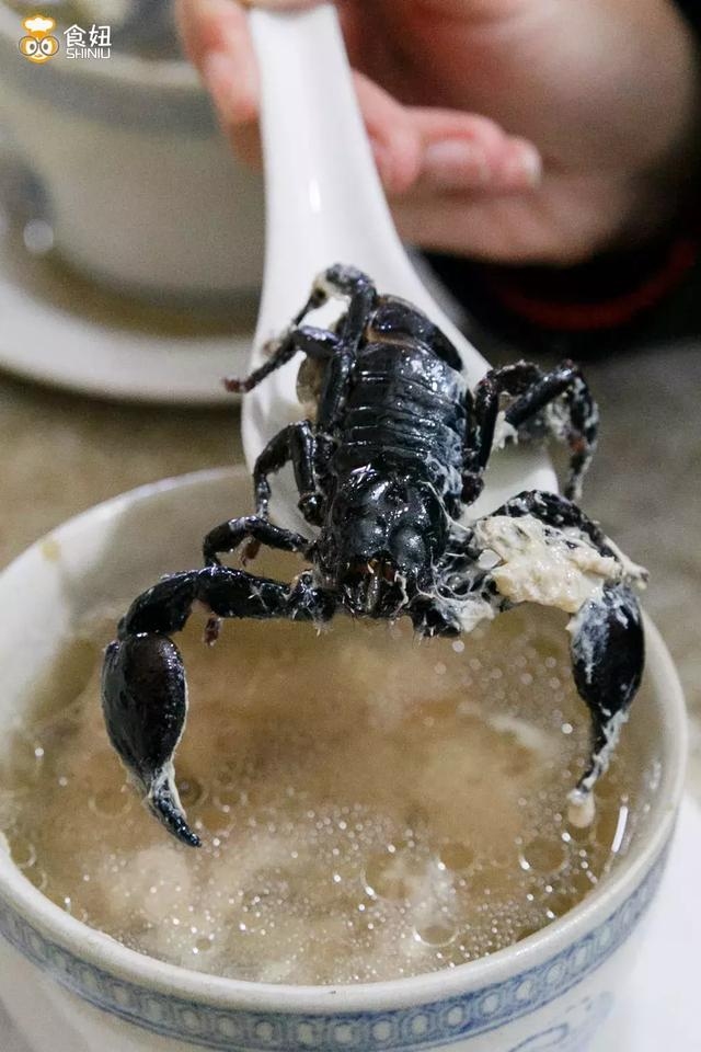 Đời sống - Canh bọ cạp nguyên con, món ăn khiến nhiều thực khách toát mồ hôi hột