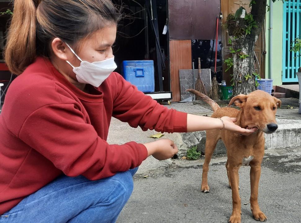 Hội An - thành phố đầu tiên Việt Nam nói không với việc sử dụng thịt chó, mèo - ảnh 1