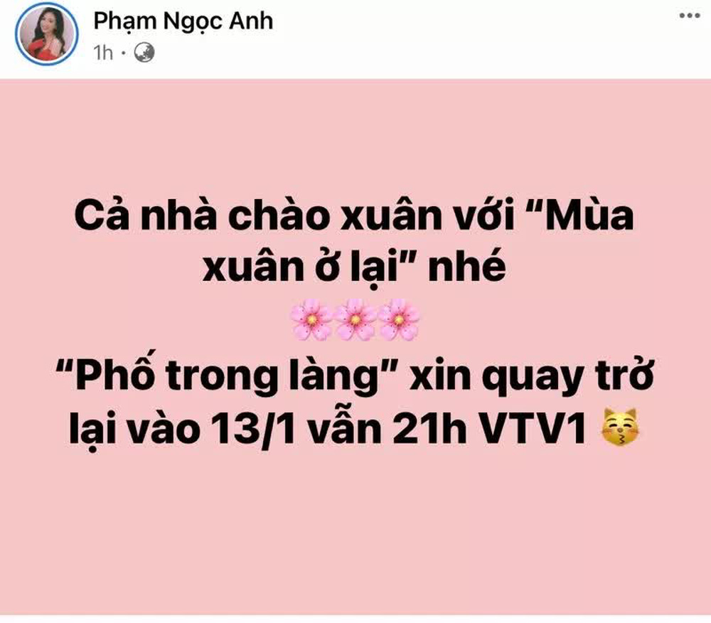 Nhiều tình tiết còn dang dở, Phố trong làng đột ngột dừng chiếu vì sao? - Ảnh 4.