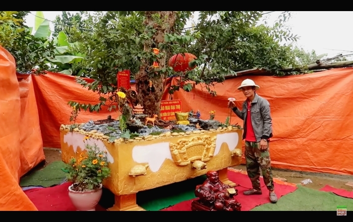  Tổng thể siêu phẩm ổi có giá 15 tỷ và chủ nhân của nó. (Ảnh chụp màn hình YouTube Mạnh Bonsai)