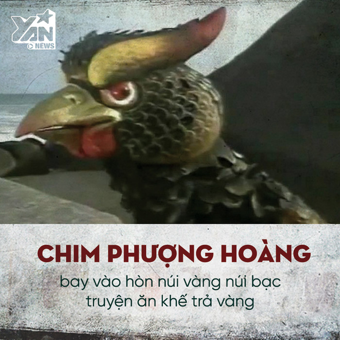  Sụp đổ niềm tin khi thấy con chim phượng hoàng này